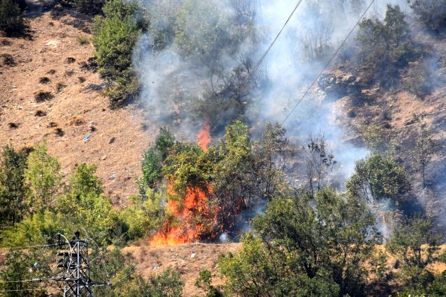 Bitlis’teki orman yangını rüzgarın etkisiyle büyüdü