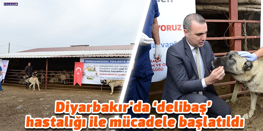 Diyarbakır’da ‘delibaş’ hastalığı ile mücadele başlatıldı