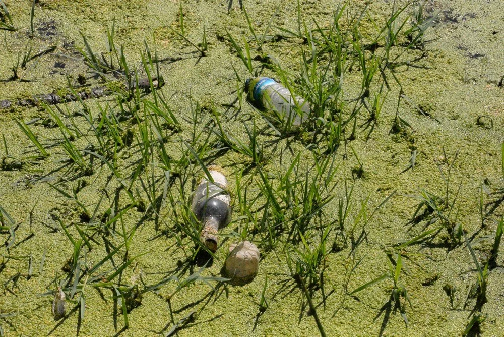Dicle Nehri: Çöpler Doğayı Bozuyor