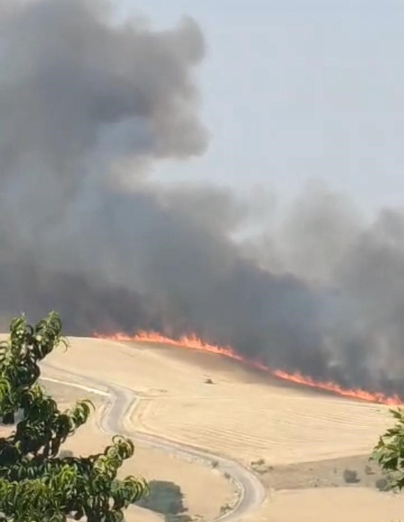 Diyarbakır Kocaköy’de Yangın: 800 Dönüm Buğday ve Arpa Kül Oldu