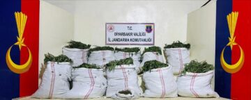 Diyarbakır’da Narko-Terör Operasyonunda 1.229.300 Kök Uyuşturucu Bitkisi Ele Geçirildi