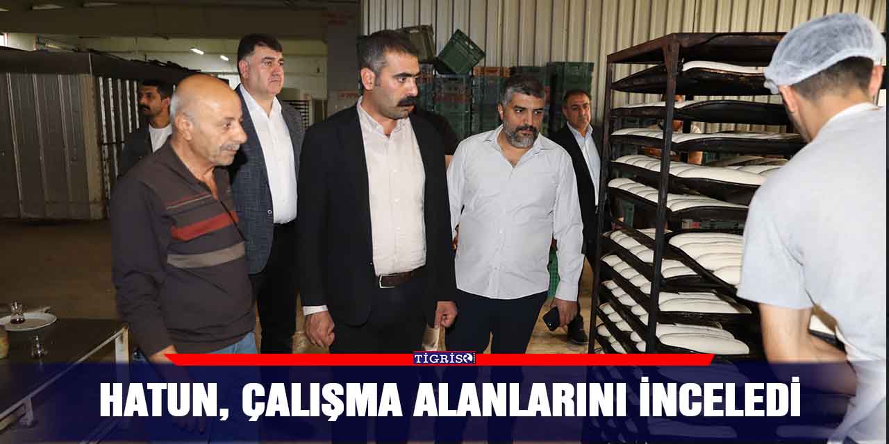 Hatun, çalışma alanlarını inceledi