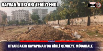 Diyarbakır Kayapınar’da kirli çevreye müdahale