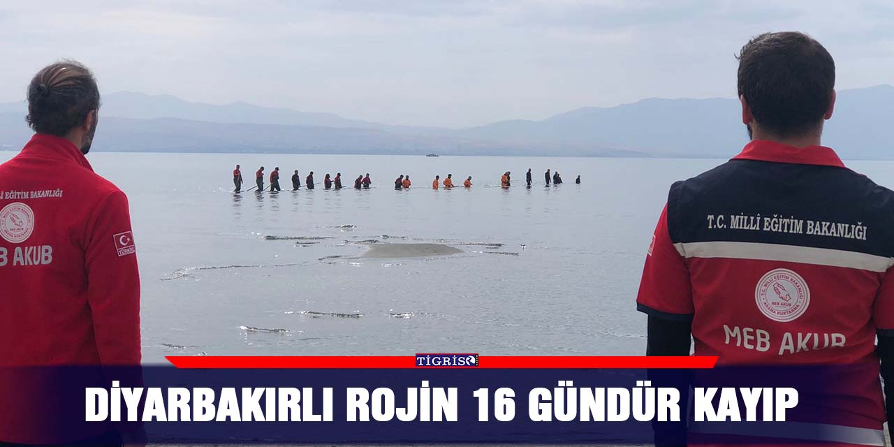 Diyarbakırlı Rojin 16 gündür kayıp