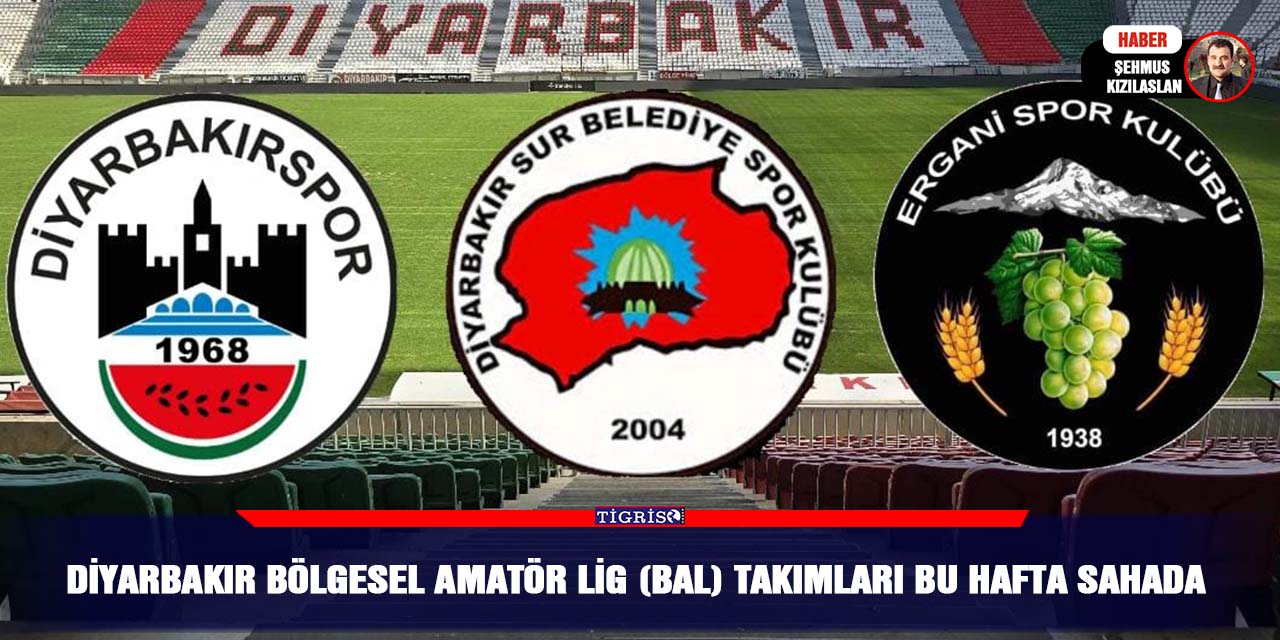 Diyarbakır Bölgesel Amatör Lig (BAL) Takımları Bu Hafta Sahada