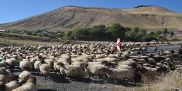 Göçerler dönüş yolculuğuna başladı