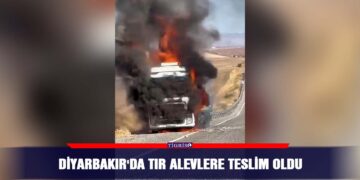 Diyarbakır’da TIR alevlere teslim oldu