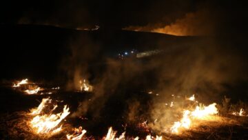 Siirt’te anız yangını çıktı, müdahale sürüyor