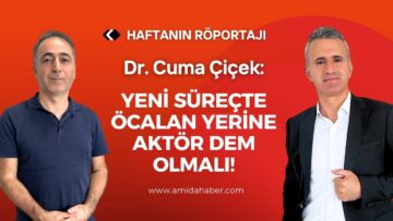 Yeni süreçte Öcalan yerine aktör DEM olmalı!