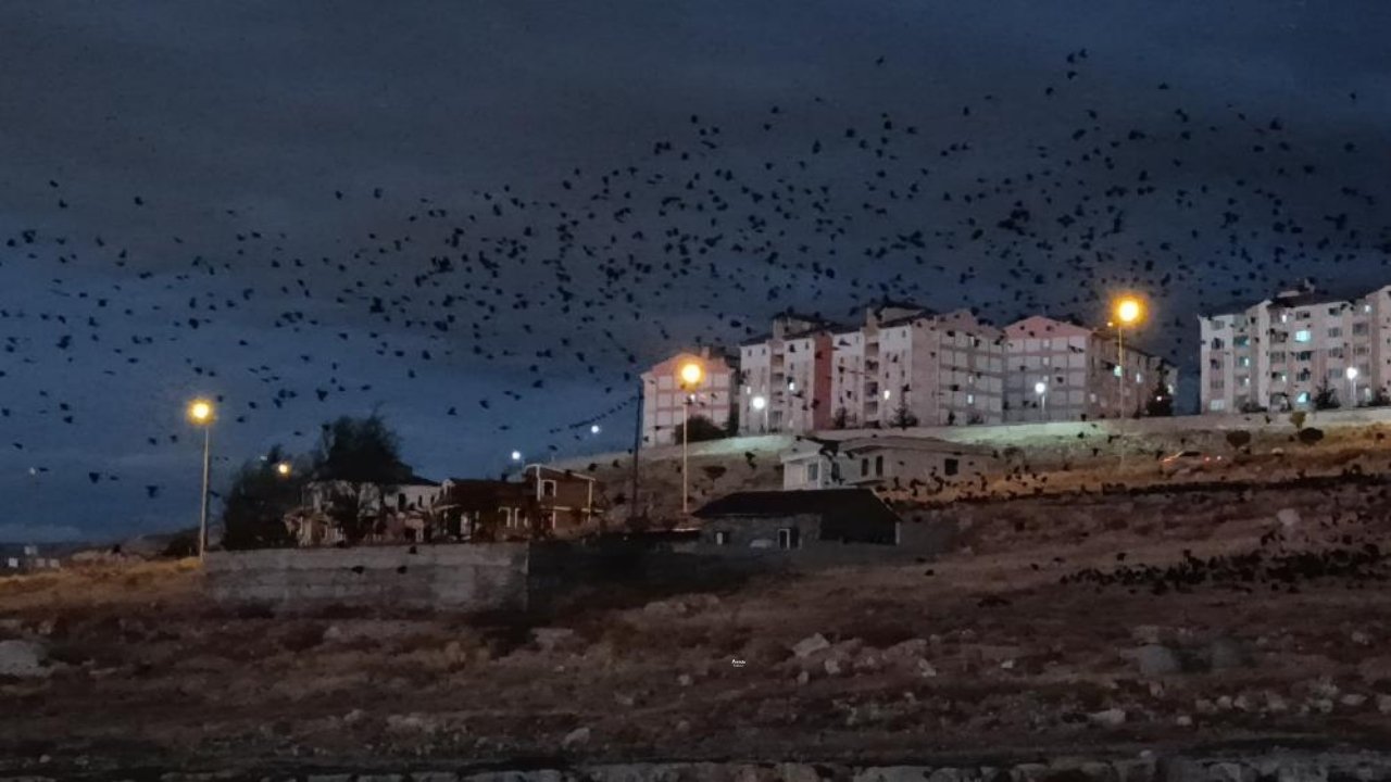 Van’da karga paniği