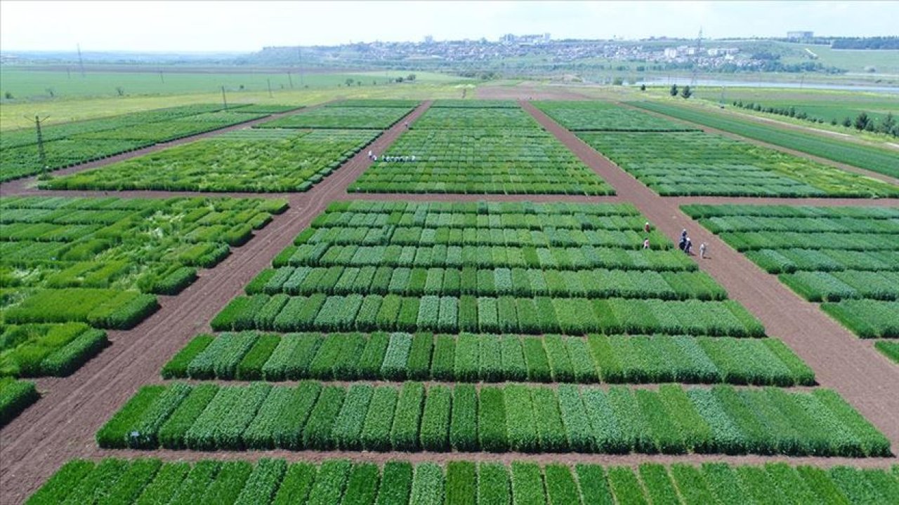 Diyarbakır’da tarıma nefes aldıracak proje tanıtıldı