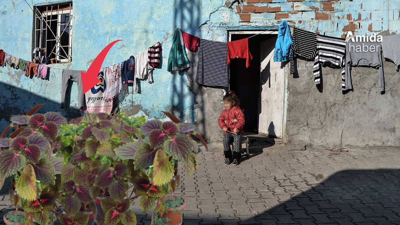 Diyarbakır'ın simgesiydi: Nesli tükenmek üzere!