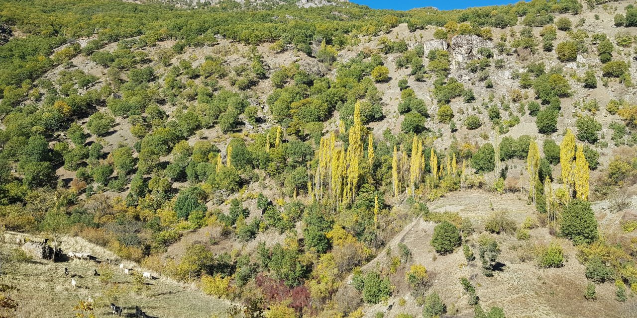 Kulp dağları sonbahar renklerine büründü