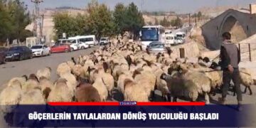 Göçerlerin yaylalardan dönüş yolculuğu başladı