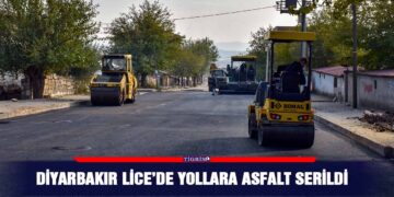 Diyarbakır Lice’de yollara asfalt serildi