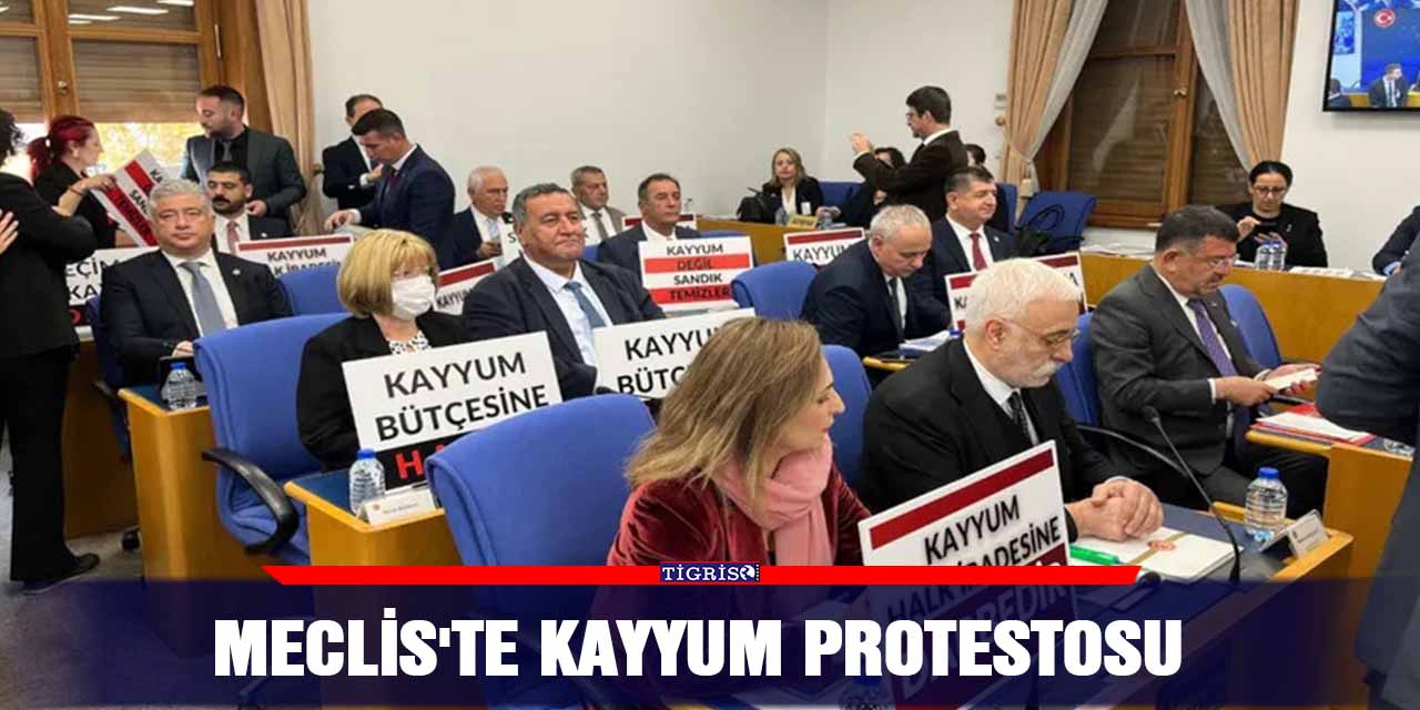 Meclis’te kayyum protestosu