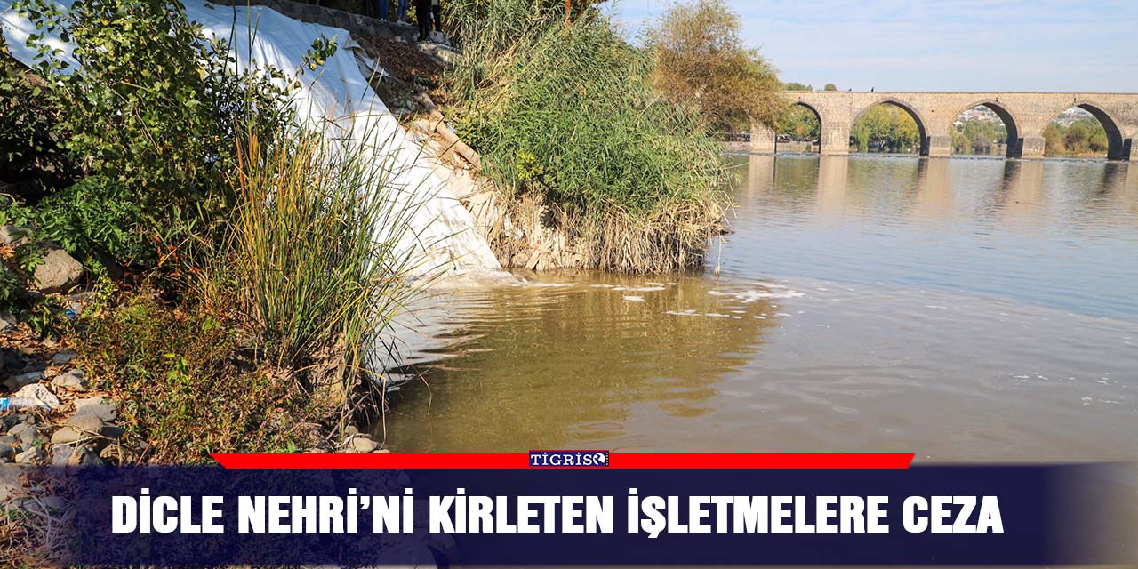 Dicle Nehri’ni kirleten işletmelere ceza