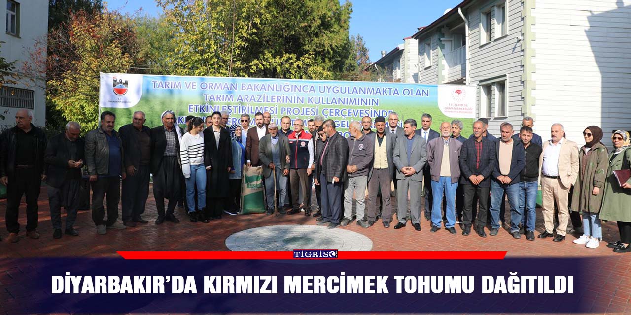 Diyarbakır’da kırmızı mercimek tohumu dağıtıldı