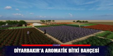 Diyarbakır’a aromatik bitki bahçesi