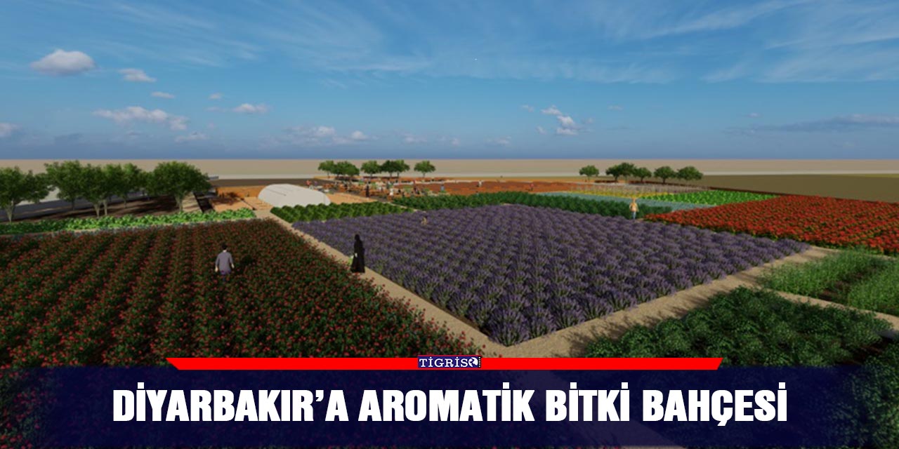 Diyarbakır’a aromatik bitki bahçesi