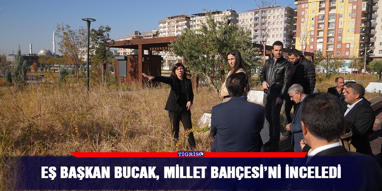 Eş Başkan Bucak, Millet Bahçesi’ni inceledi