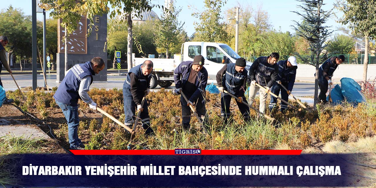 Diyarbakır Yenişehir Millet Bahçesinde hummalı çalışma