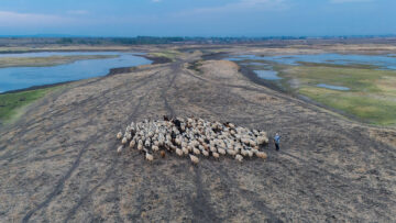 Dicle Nehri’nde kuraklığın etkisi görüntülendi