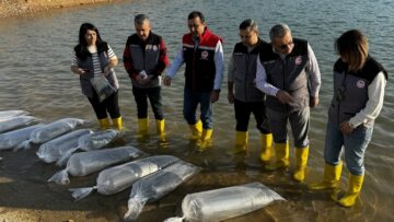 Siirt göllerine 2 milyon balık yavrusu