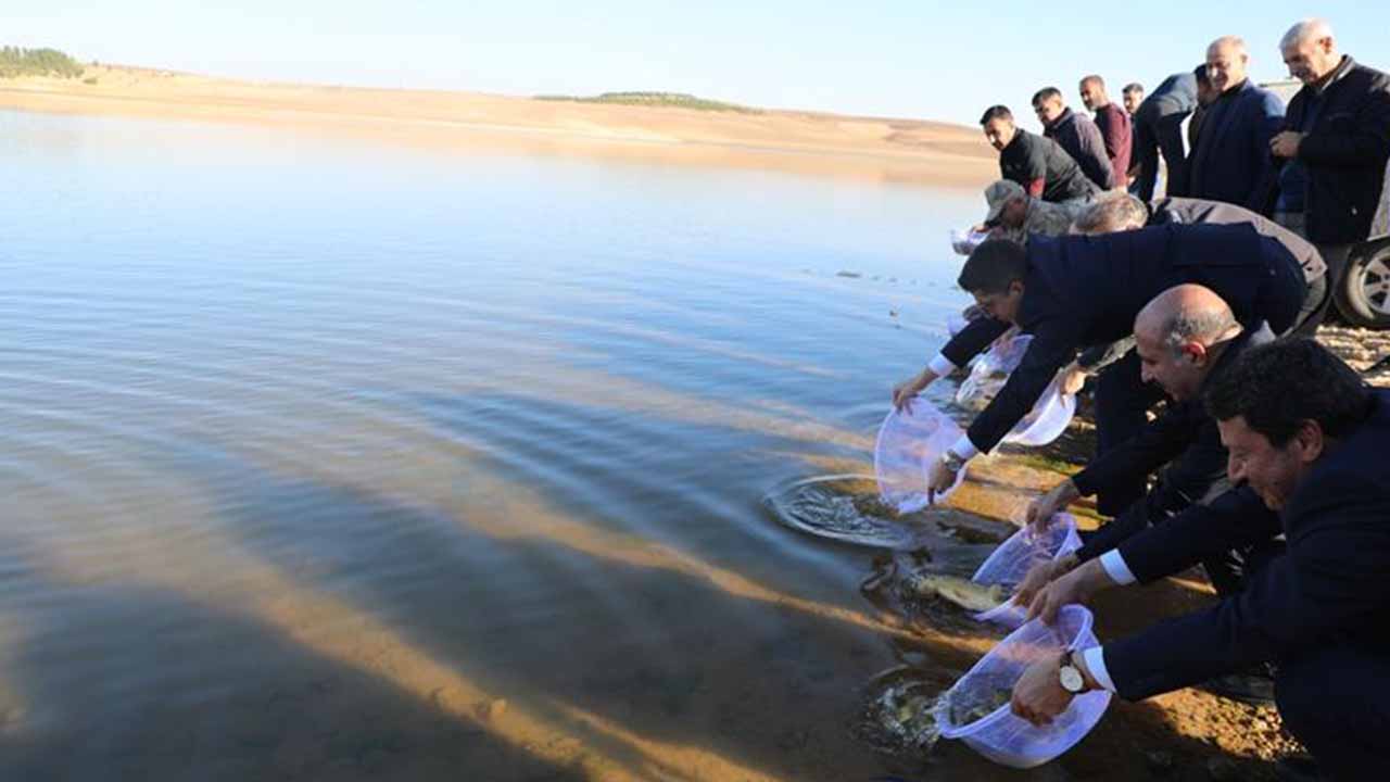 Diyarbakır’a bir milyon sazan!