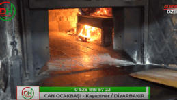 🔥 CAN OCAKBAŞI | Mangal Ateşinde Efsane Lezzetler! 🍖🔥