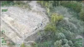 Diyarbakır’da Uyuşturucu Operasyonu: 12 Bin Kök Kenevir Ele Geçirildi