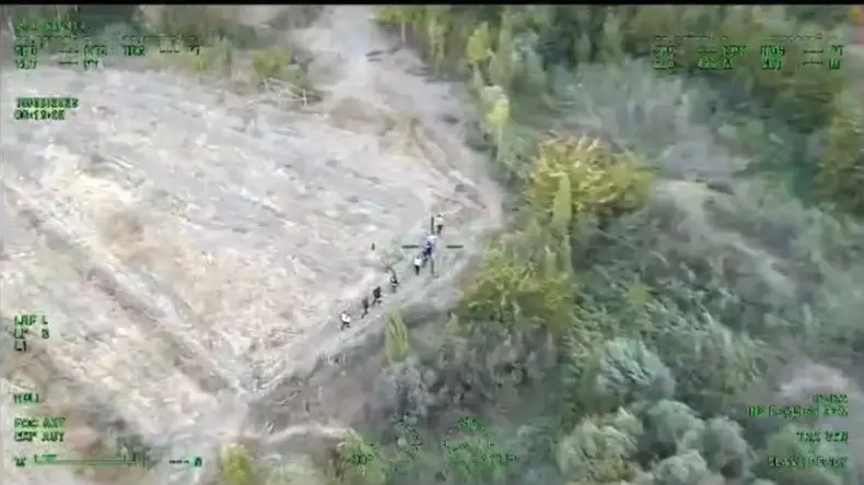 Diyarbakır’da Uyuşturucu Operasyonu: 12 Bin Kök Kenevir Ele Geçirildi