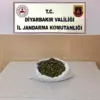 Diyarbakır’da 16 Şüpheli Uyuşturucu Operasyonunda Yakalandı